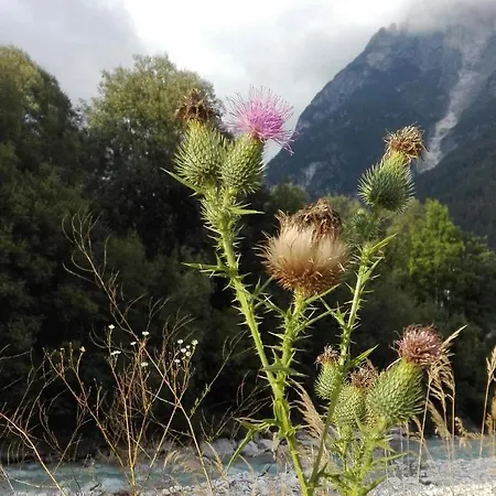 Гостевой дом Casa Del Chico Dolomiti Agordine Taibon