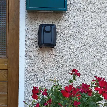 Casa Del Chico Dolomiti Agordine Гостевой дом *